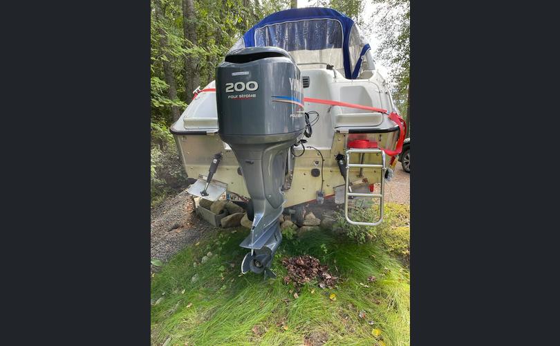 Silver Moreno 620-kuva-12